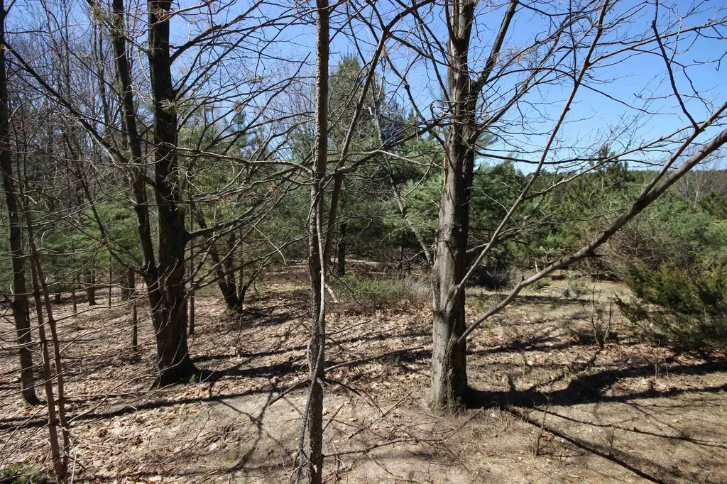 00 Maple View Drive Central Lake Township MI 49662