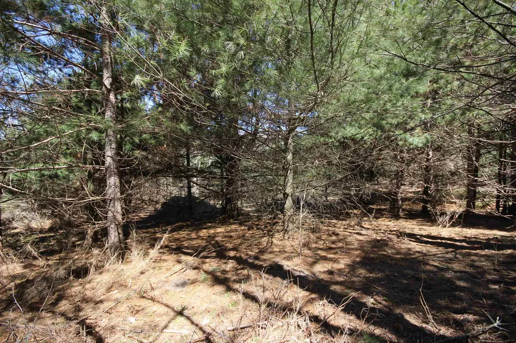00 Maple View Drive Central Lake Township MI 49662
