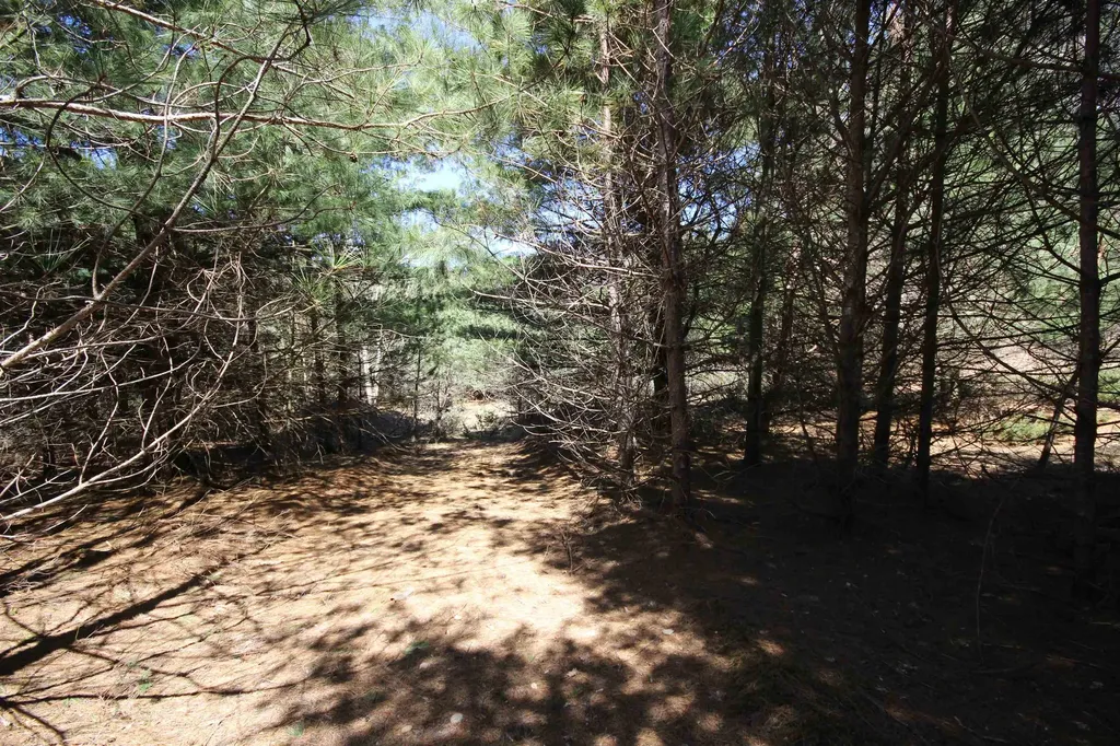 00 Maple View Drive Central Lake Township MI 49662