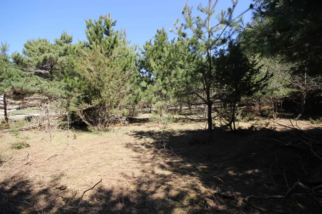 00 Maple View Drive Central Lake Township MI 49662