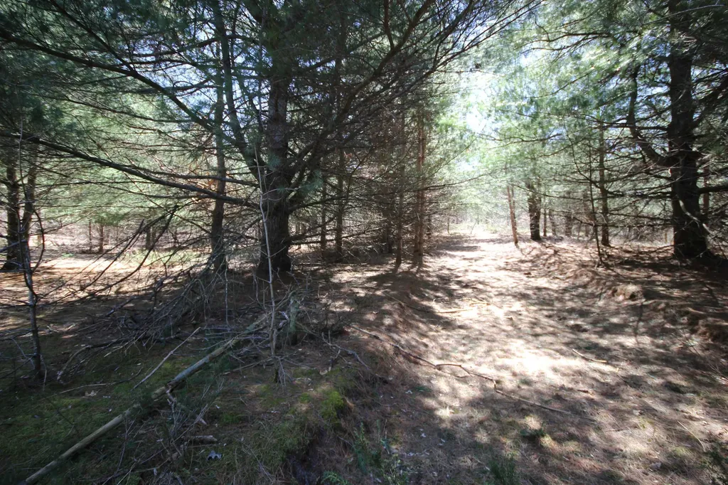 00 Maple View Drive Central Lake Township MI 49662
