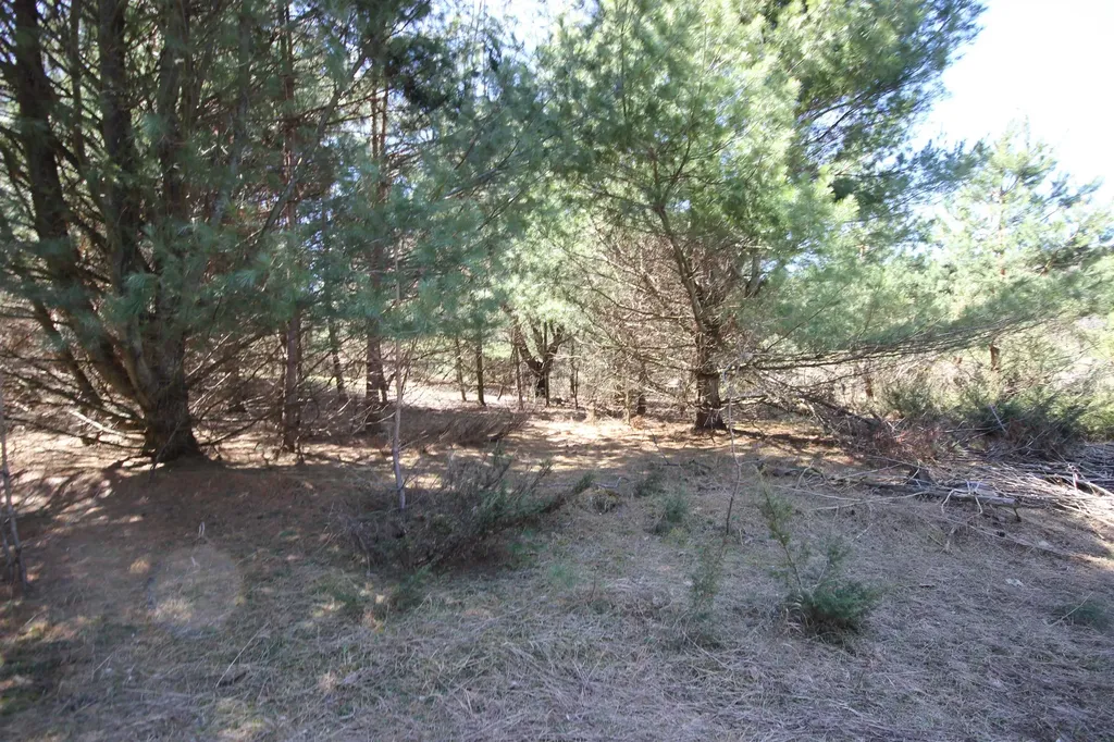 00 Maple View Drive Central Lake Township MI 49662