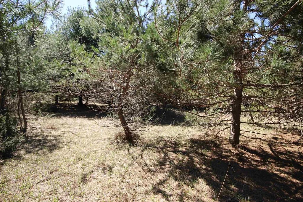 00 Maple View Drive Central Lake Township MI 49662