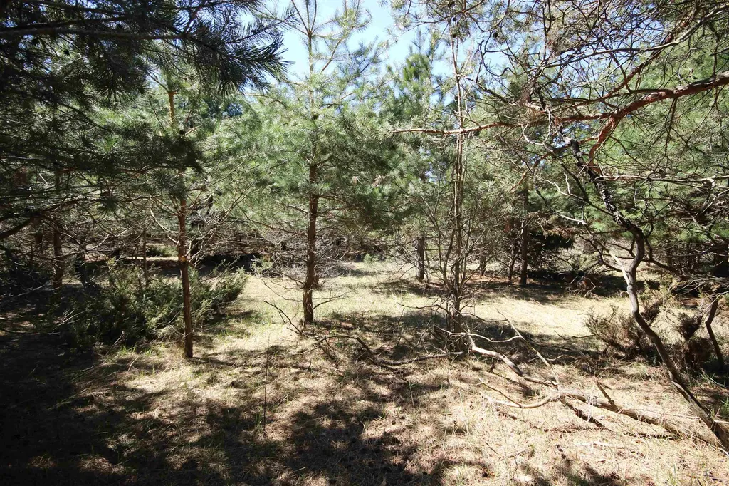 00 Maple View Drive Central Lake Township MI 49662