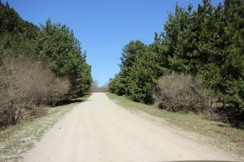 00 Maple View Drive Central Lake Township MI 49662