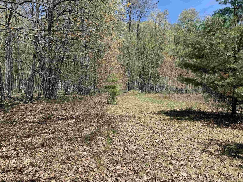 7274 S Forward Riverside Township MI 49657
