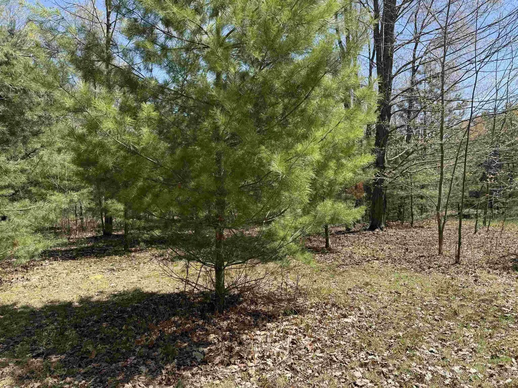 7274 S Forward Riverside Township MI 49657