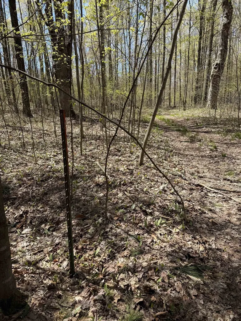 7274 S Forward Riverside Township MI 49657