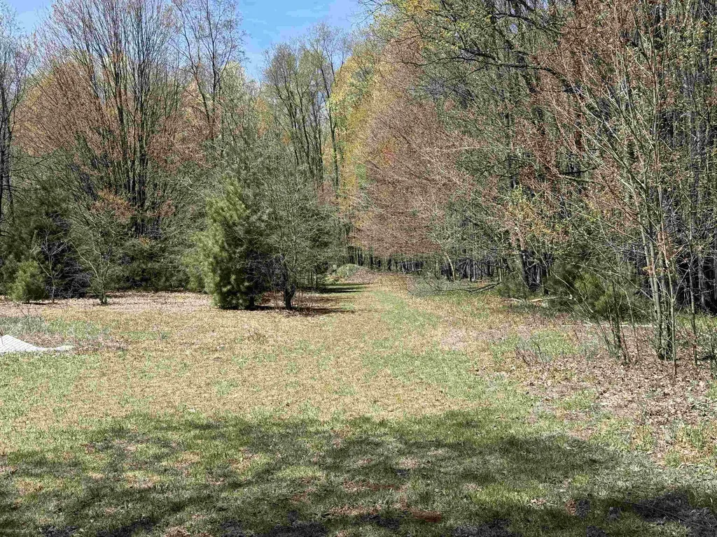 7274 S Forward Riverside Township MI 49657