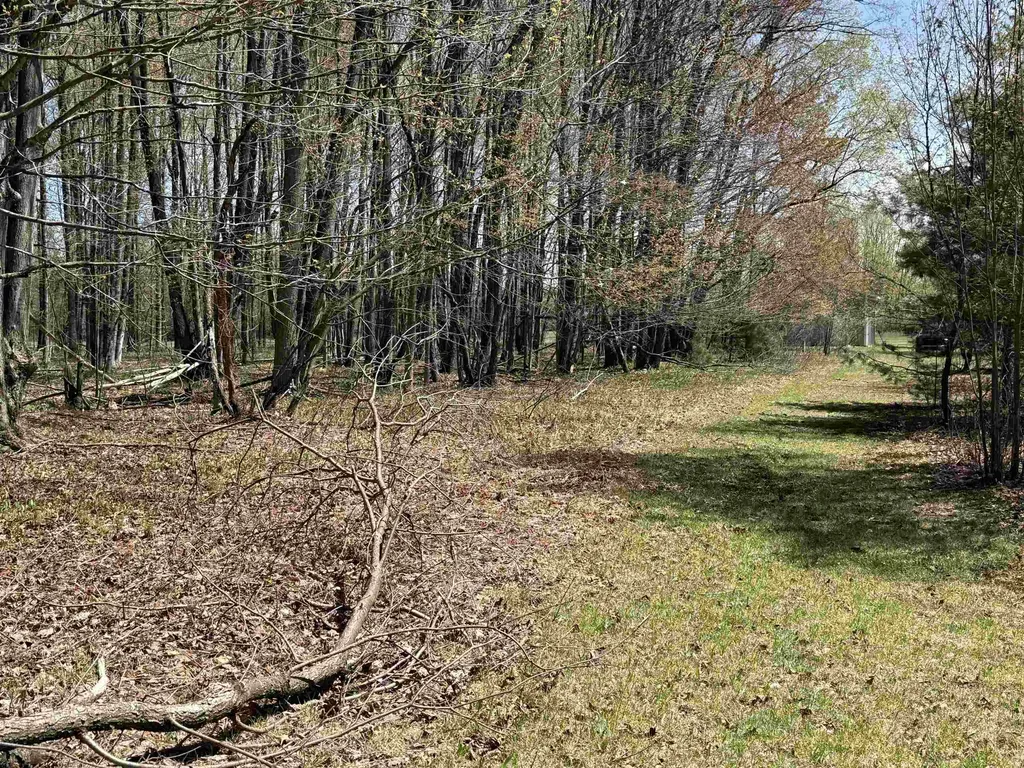 7274 S Forward Riverside Township MI 49657