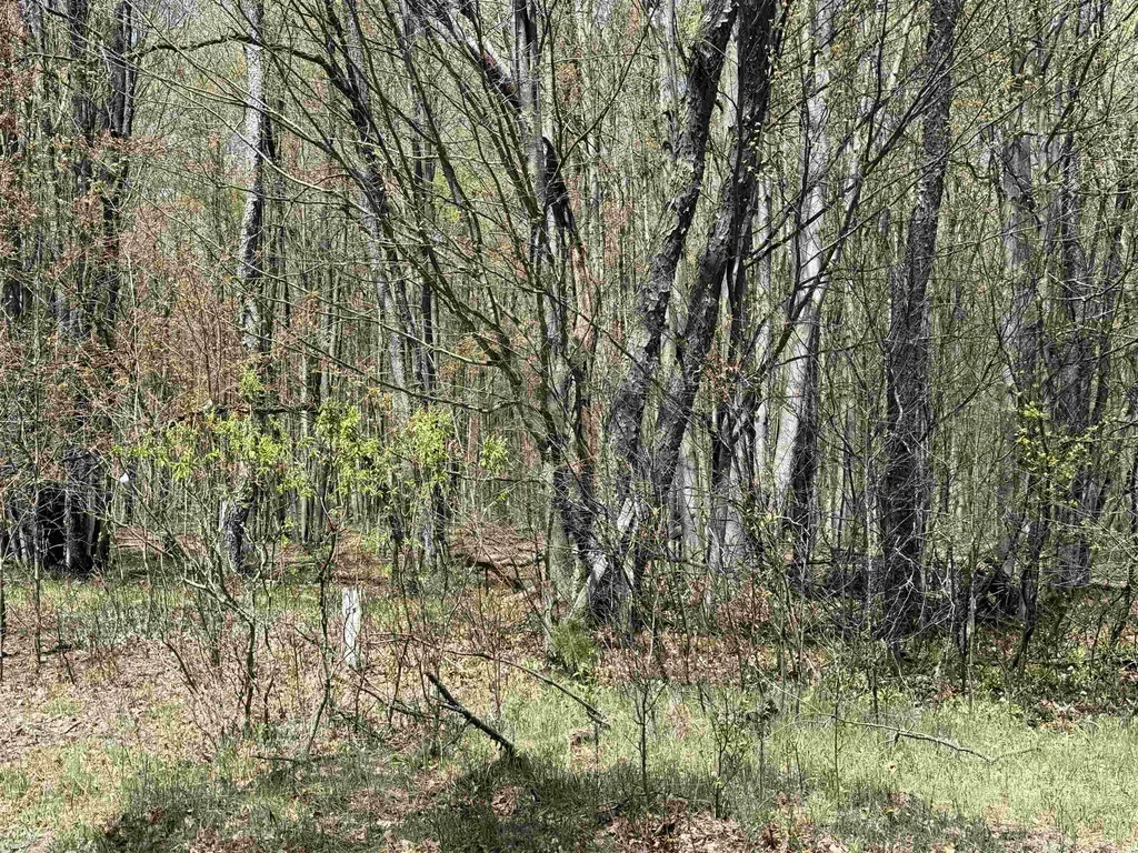 7274 S Forward Riverside Township MI 49657