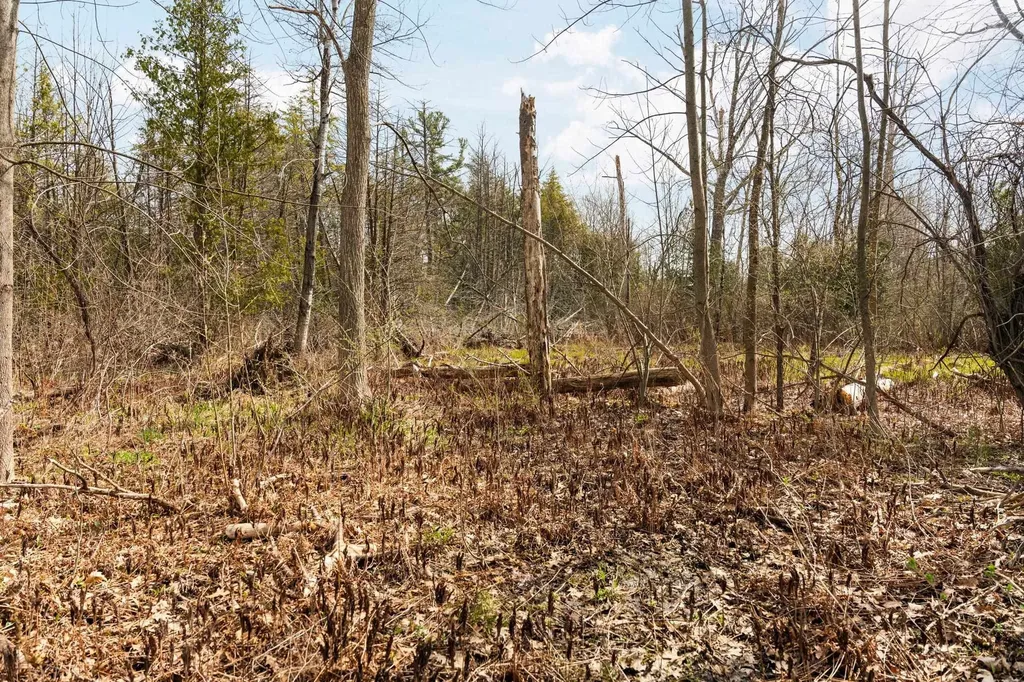 2051 N Garfield Road Garfield Charter Township MI 49686