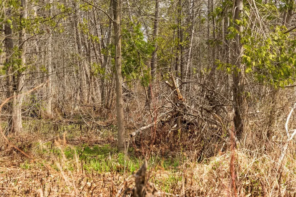 2051 N Garfield Road Garfield Charter Township MI 49686