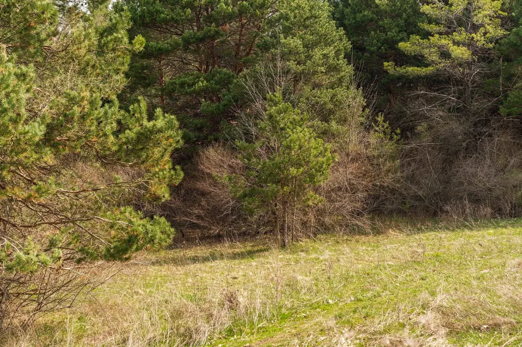 2051 N Garfield Road Garfield Charter Township MI 49686