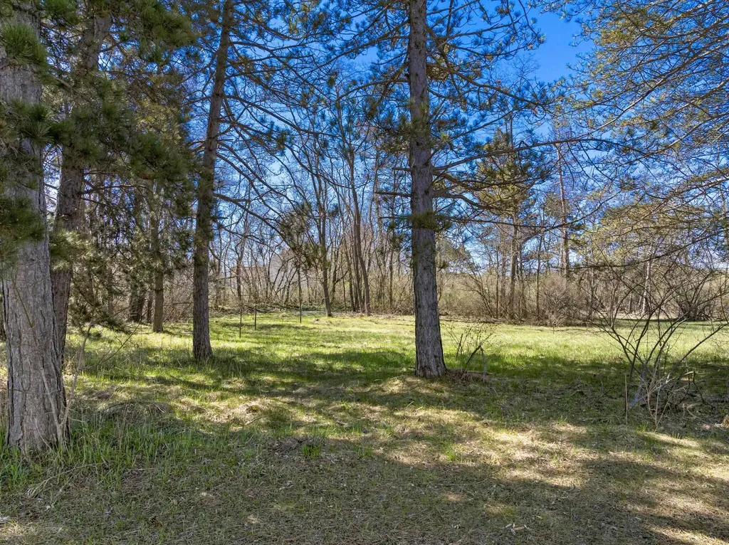 89 W Church Street Kasson Township MI 49664