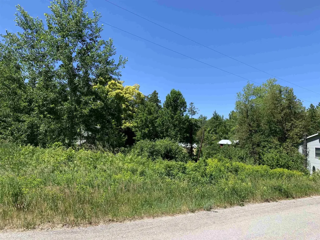 6669 E Fouch Road Solon Township MI 49684