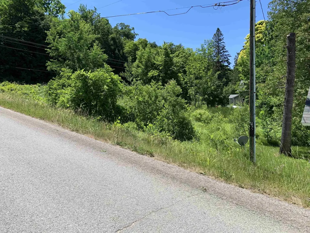 6669 E Fouch Road Solon Township MI 49684