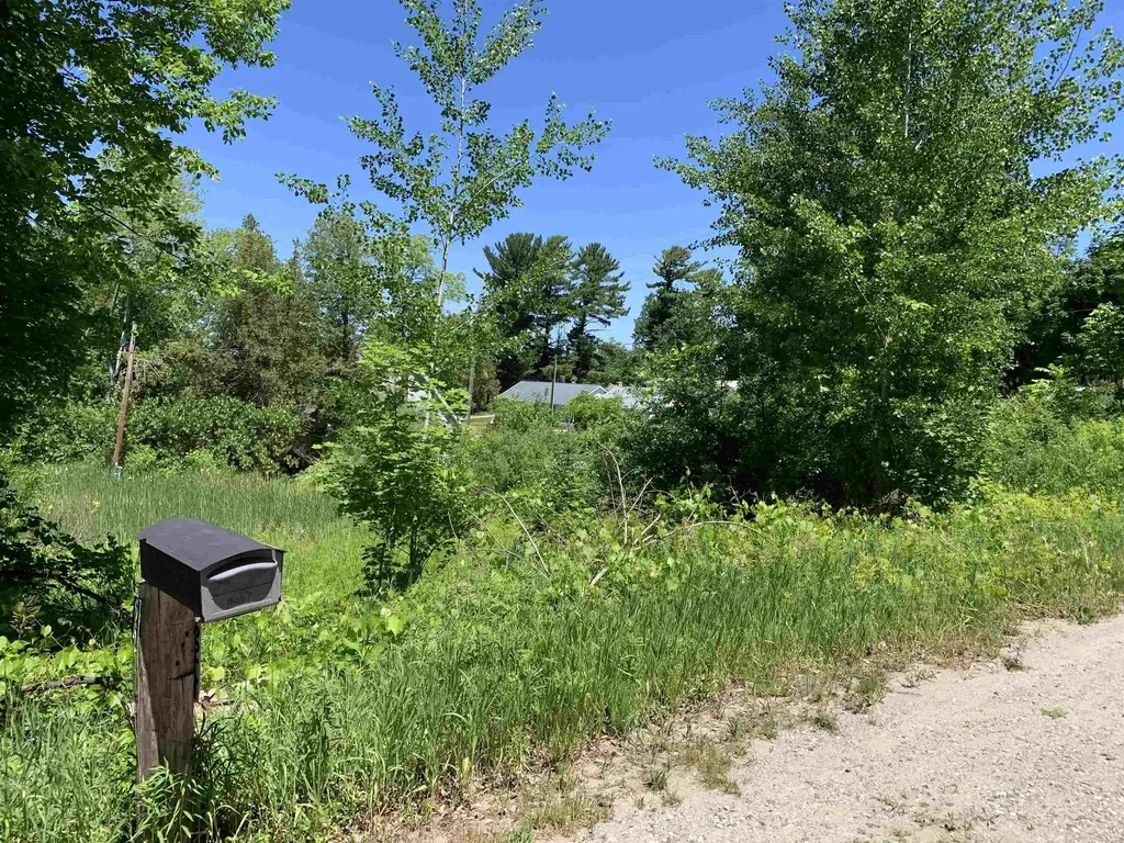 6669 E Fouch Road Solon Township MI 49684