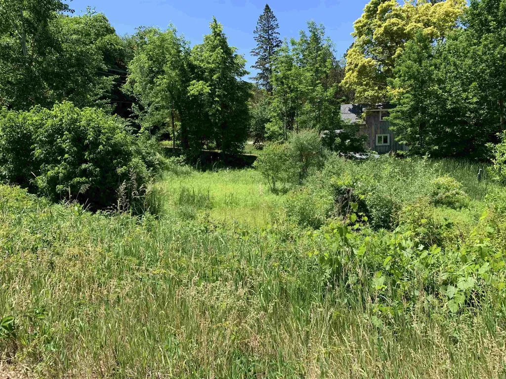 6669 E Fouch Road Solon Township MI 49684