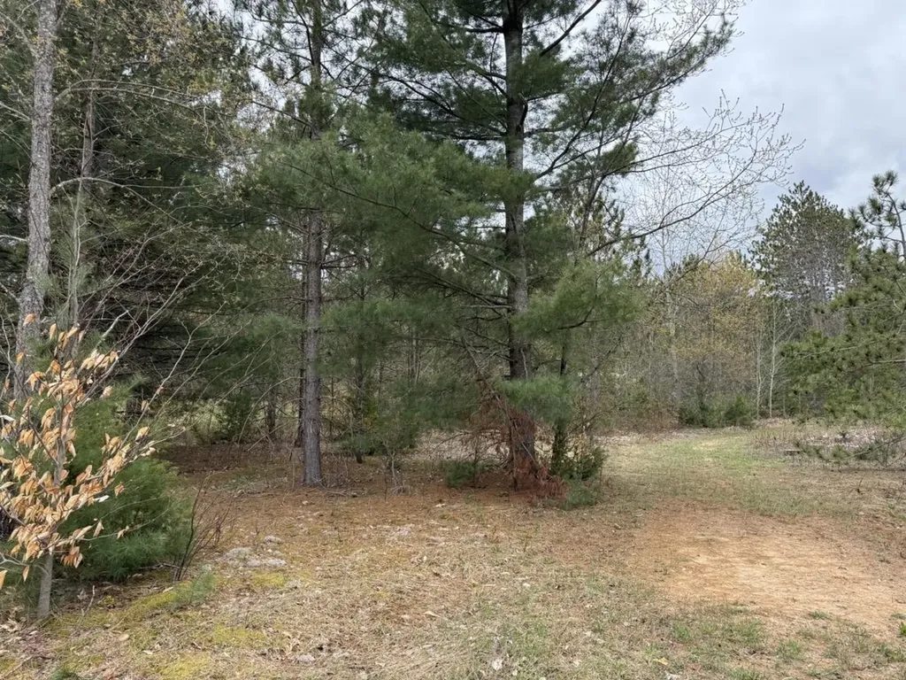 3522 Sigma Road Oliver Township MI 49646