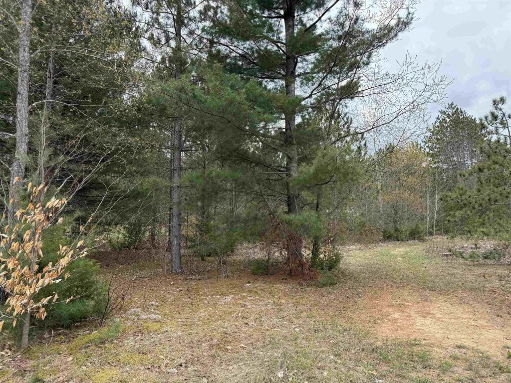 3522 Sigma Road Oliver Township MI 49646