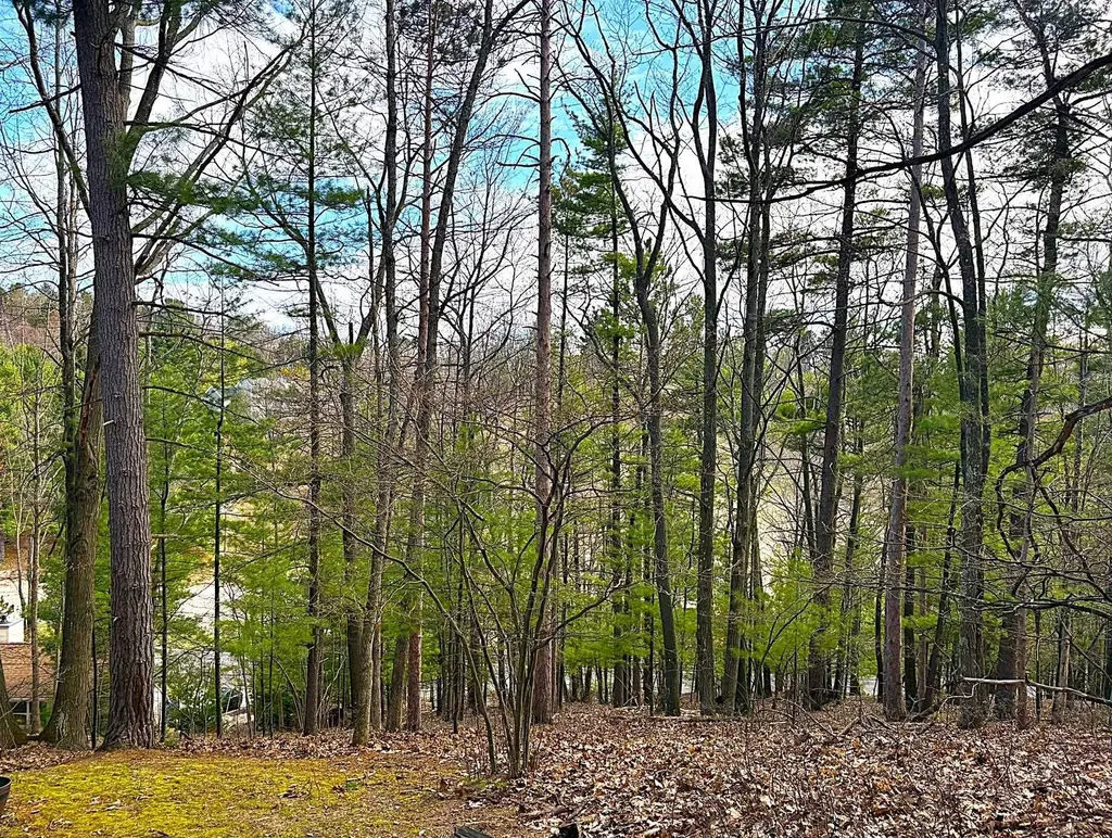 3975 Sherwood Forest East Bay Township MI 49686