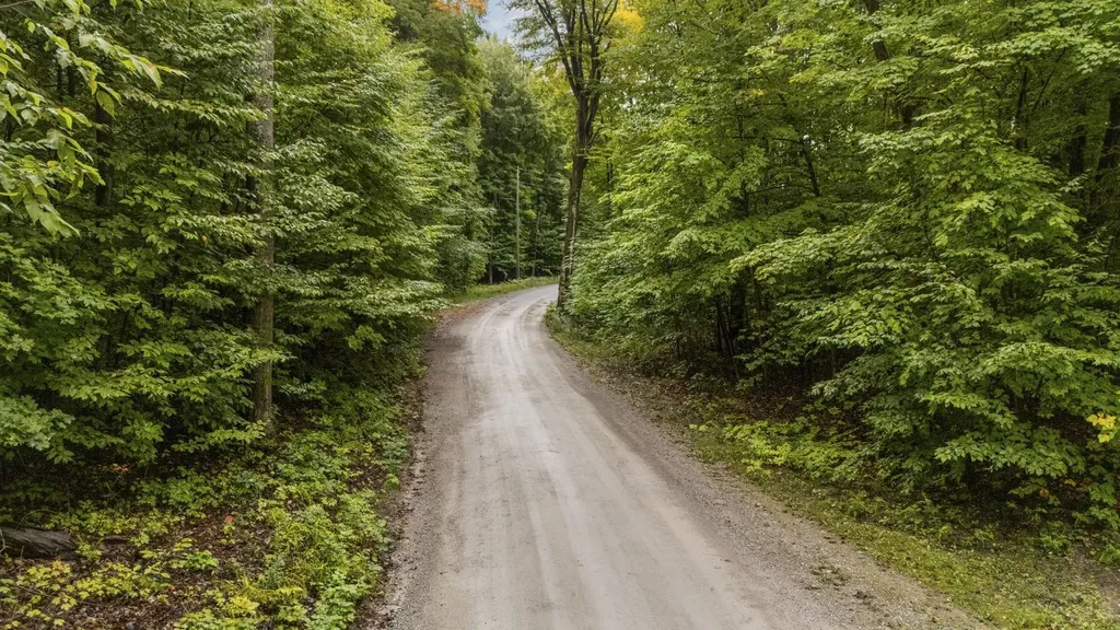 0 S Golden Valley Drive Empire Township MI 49630