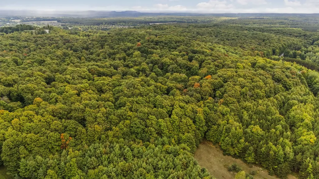0 S Golden Valley Drive Empire Township MI 49630