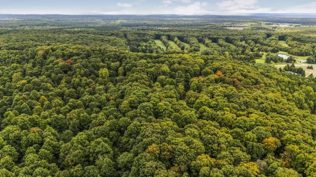 0 S Golden Valley Drive Empire Township MI 49630