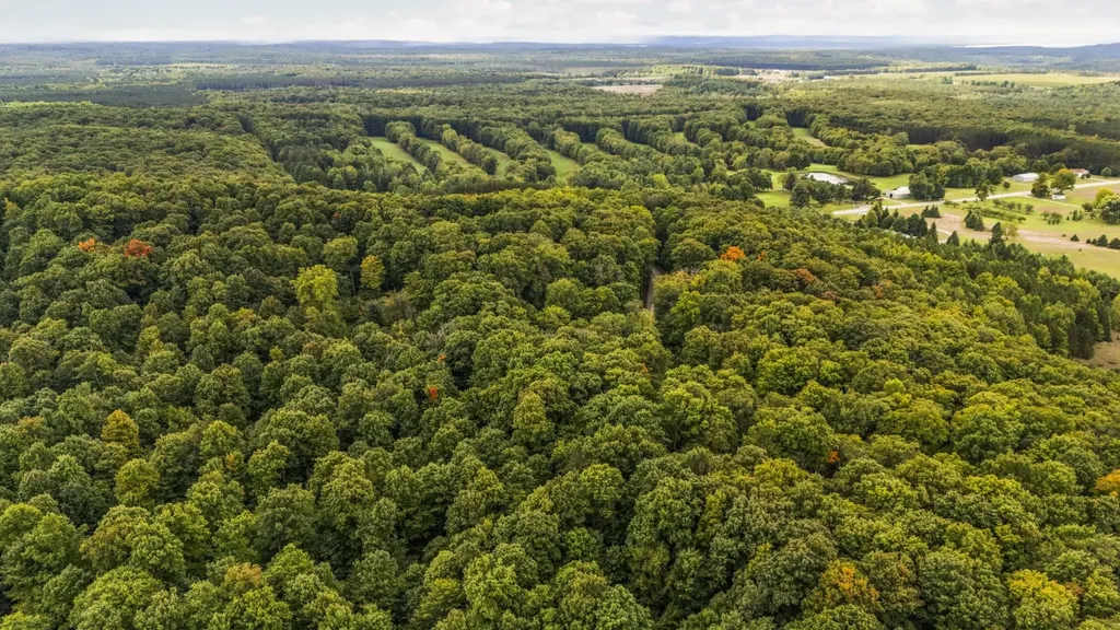 0 S Golden Valley Drive Empire Township MI 49630