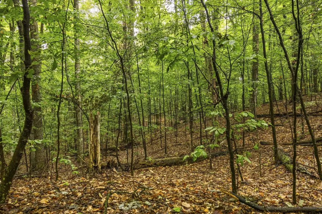 0 S Golden Valley Drive Empire Township MI 49630