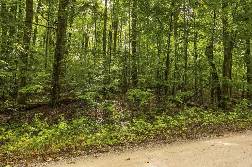0 S Golden Valley Drive Empire Township MI 49630