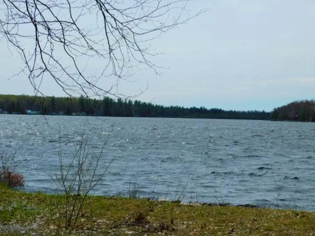 4960 Pine Drive Excelsior Township MI 49646