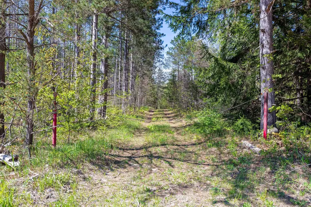 00 Makinen Road Maple Grove Township MI 49645