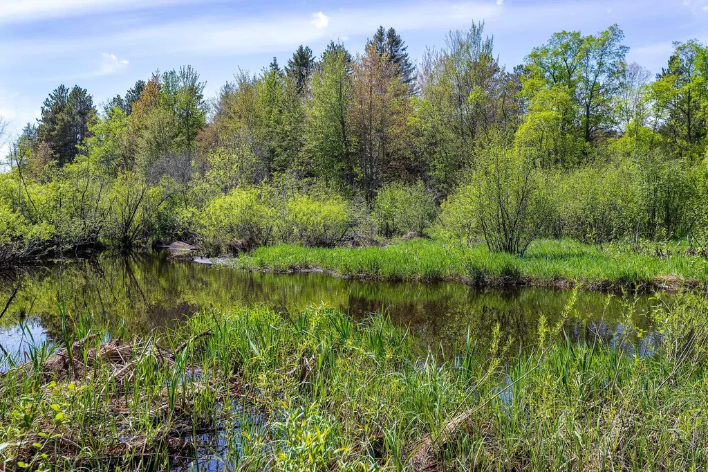 00 Makinen Road Maple Grove Township MI 49645