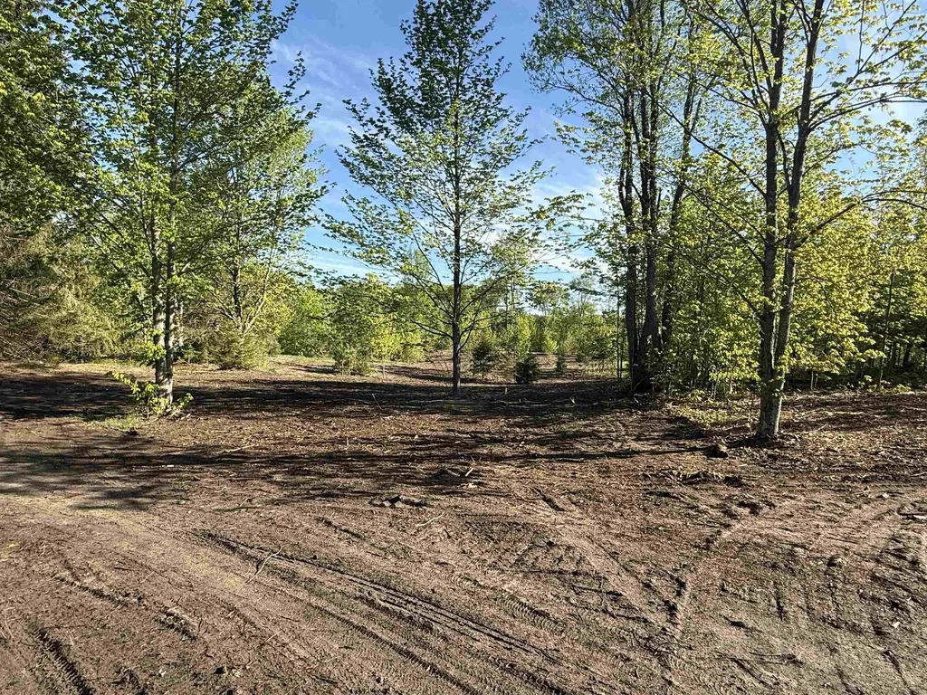 1007 E Solaris Way Kasson Township MI 49664