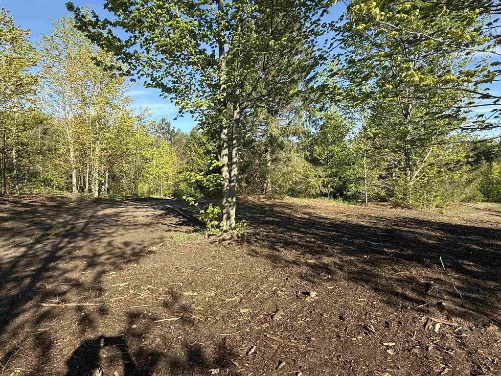 1007 E Solaris Way Kasson Township MI 49664