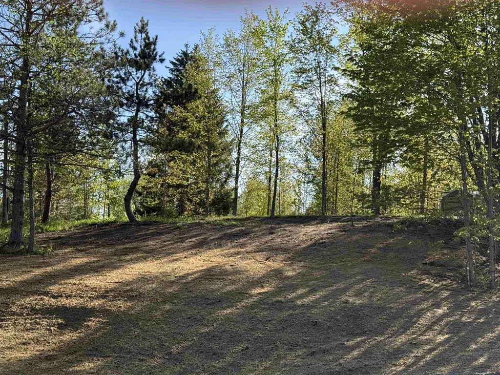 1007 E Solaris Way Kasson Township MI 49664