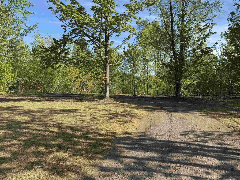 1007 E Solaris Way Kasson Township MI 49664