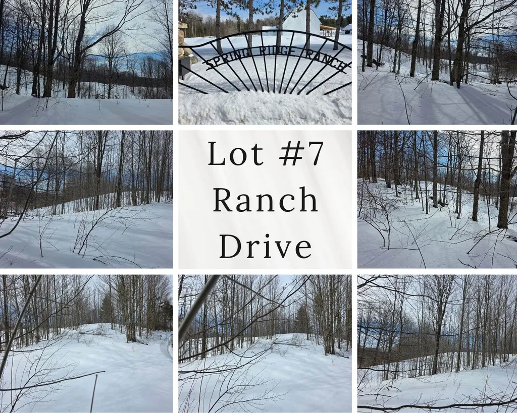 Vl Ranch Drive Kearney Township MI 49615