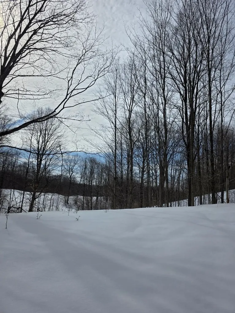Vl Ranch Drive Kearney Township MI 49615
