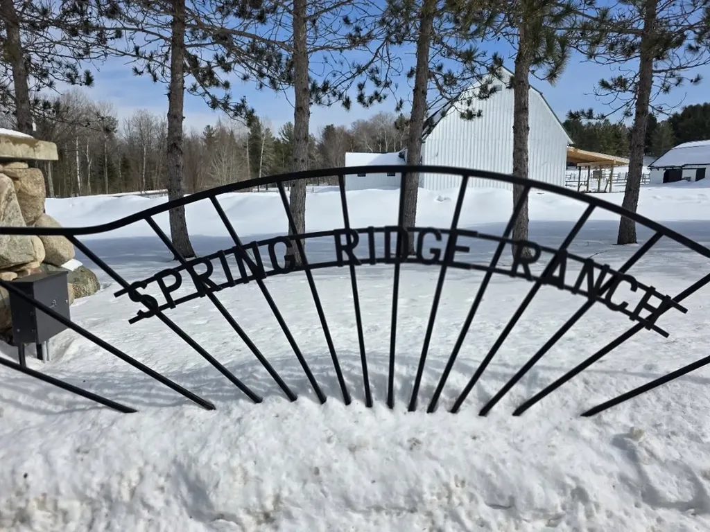 Vl Ranch Drive Kearney Township MI 49615