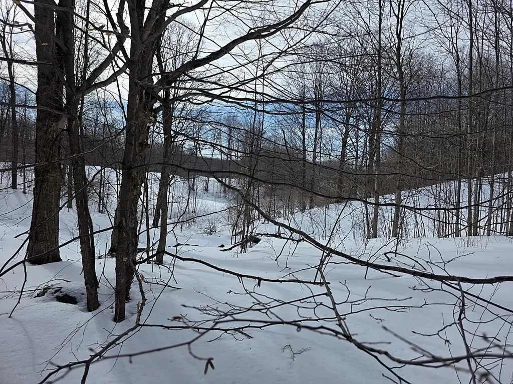 Vl Ranch Drive Kearney Township MI 49615