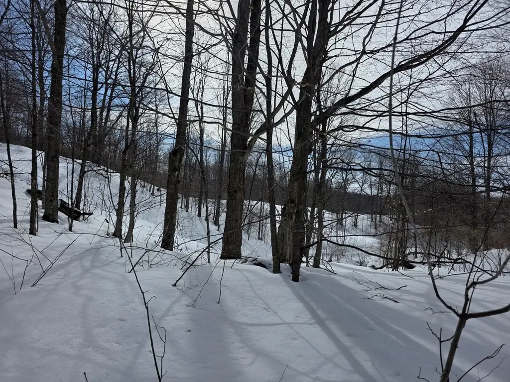Vl Ranch Drive Kearney Township MI 49615