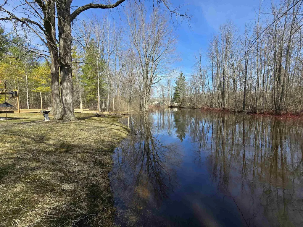 89 River Drive Butterfield Township MI 49667