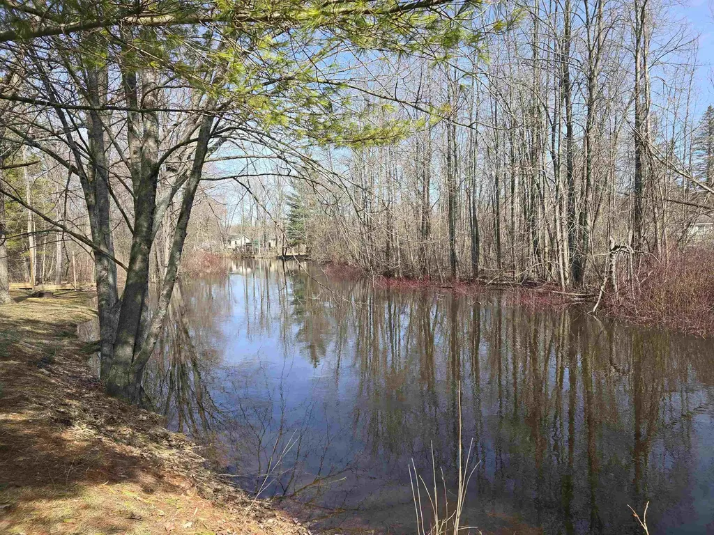 89 River Drive Butterfield Township MI 49667
