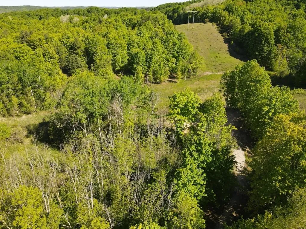 Tbd Pesek Road South Arm Township MI 49727