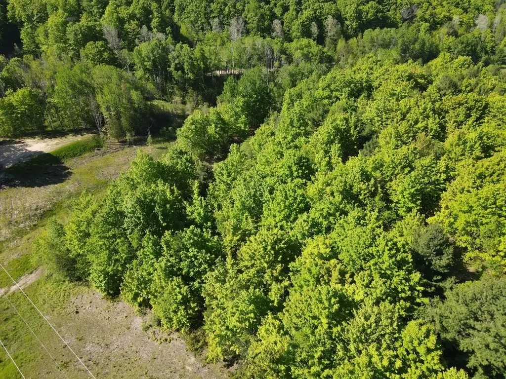 Tbd Pesek Road South Arm Township MI 49727