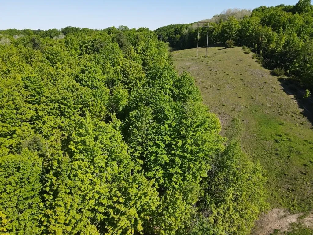 Tbd Pesek Road South Arm Township MI 49727