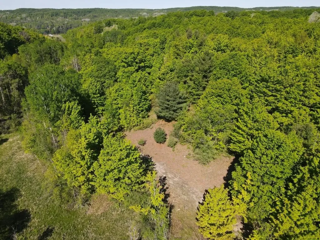 Tbd Pesek Road South Arm Township MI 49727